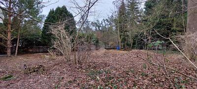 IHR NEUES PROJEKT IN IDYLLISCHER LAGE - Grundstück Berlin-Bohnsdorf Bohnsdorf | Angebot:24804475