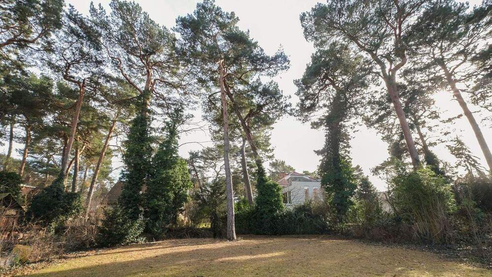 Einfamilienhaus Berlin Niederschönhausen - 3 Zimmer, 200 m&sup2;, 3.547&euro; | Angebot:25865304