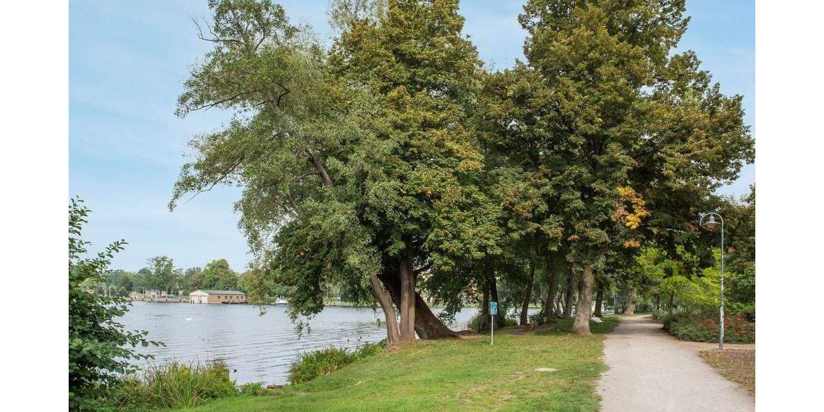 Doppelhaushälfte Erkner Hohenbinde - 4 Zimmer, 125 m&sup2;, 469.000&euro; | Angebot:25781633