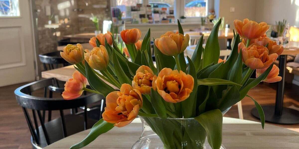 Besichtigung 12.12. 16-17 Uhr! Ruhe genießen im großen eigenen Garten mit Terrasse - ab sofort 3 zimmer