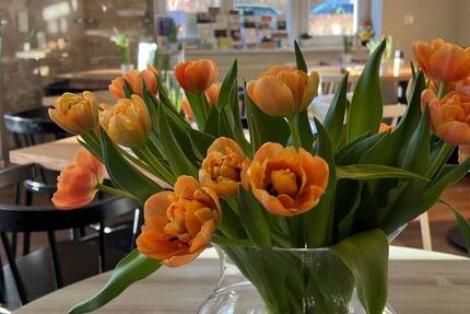 Besichtigung 23.12., 16-17 Uhr! Ruhe genießen im großen eigenen Garten mit Terrasse - ab sofort 3 zimmer