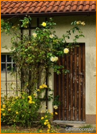 2 Wohnplätze * GROSSES schönes Grundstück* Haus-Bauplatz-Nebengelass, nahe an Wasser+ Wald* 5 zimmer