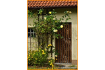 2 Wohnplätze * GROSSES schönes Grundstück* Haus-Bauplatz-Nebengelass, nahe an Wasser+ Wald* 5 zimmer