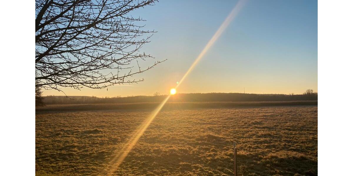 Bungalow Erkner - 1 Zimmer, 55 m&sup2;, 1.400&euro; | Angebot:24283698