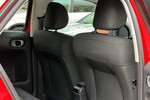 C4 Cactus