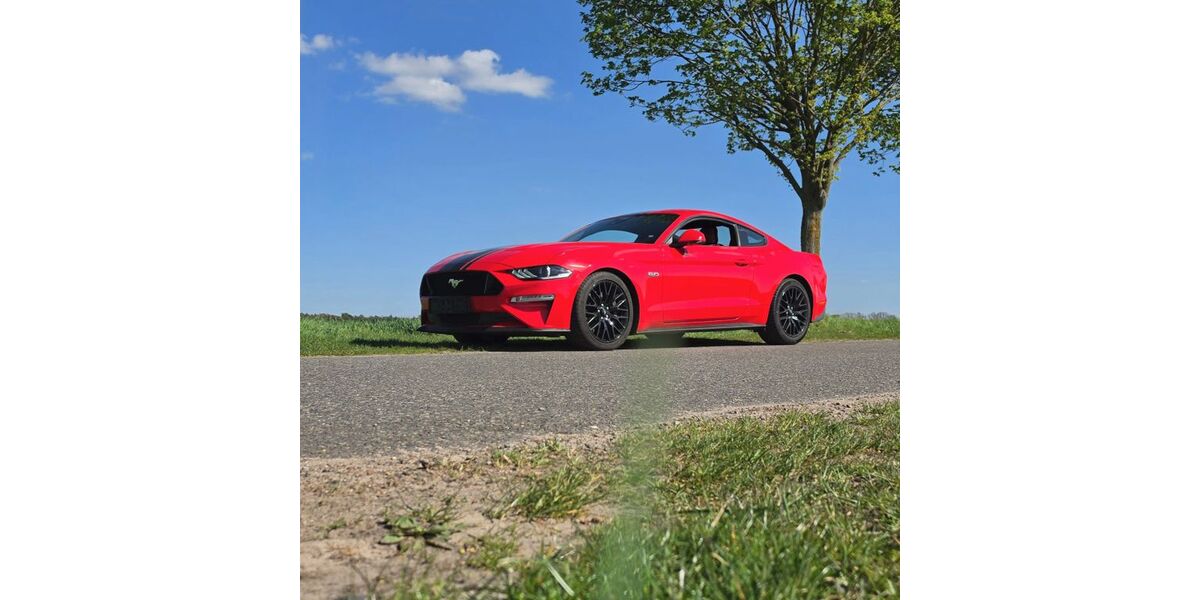 Ford Mustang 30.100 km 41.900 &euro; Oranienburg 16515