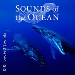 Sounds of the Ocean - The Immersive Experience