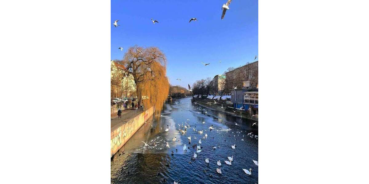 Etagenwohnung Berlin Friedrichshain-Kreuzberg - 5 Zimmer, 125 m&sup2;, 998.000&euro; | Angebot:25970415