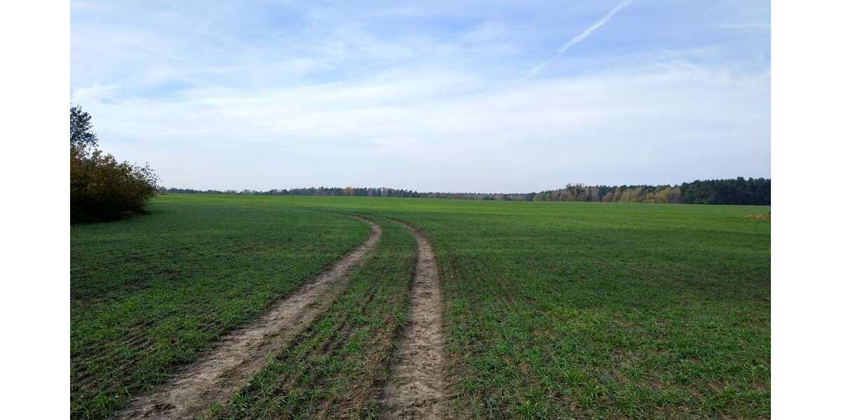 Grundstück Stahnsdorf / Güterfelde Güterfelde - 49.000&euro; | Angebot:26975679