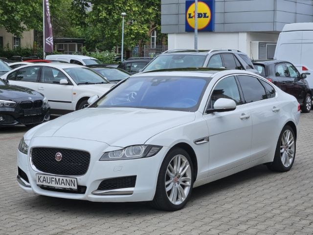 XF