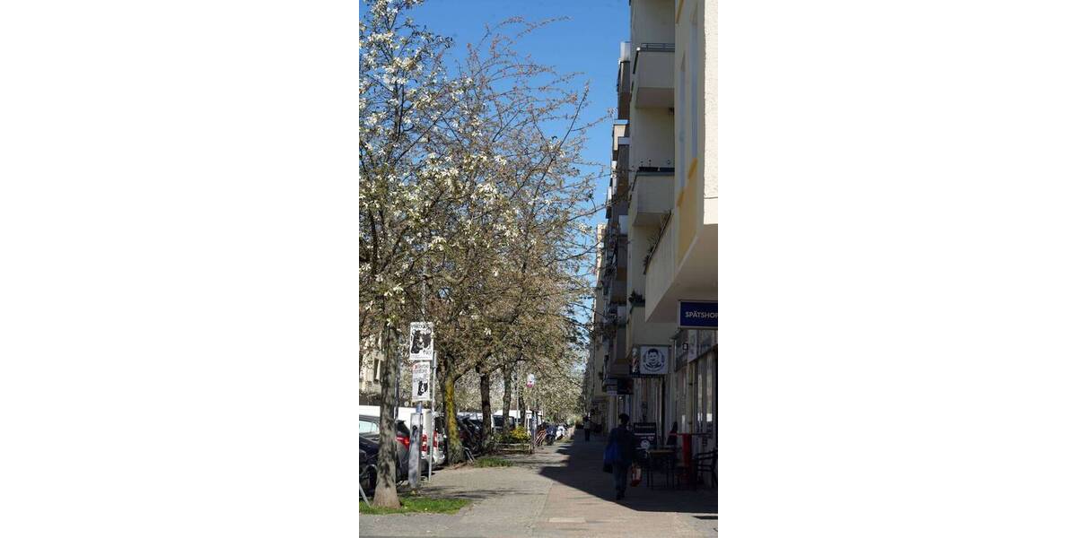 Etagenwohnung Berlin Prenzlauer Berg - 5 Zimmer, 136 m&sup2;, 849.500&euro; | Angebot:26144688