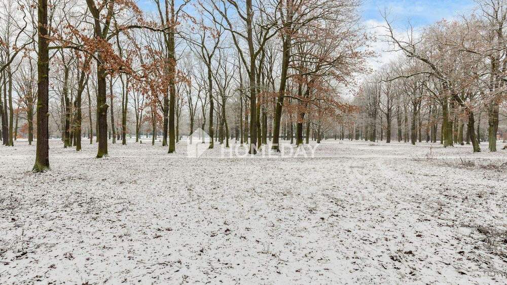 Etagenwohnung Berlin Oberschöneweide - 2 Zimmer, 53 m&sup2;, 195.000&euro; | Angebot:24863023