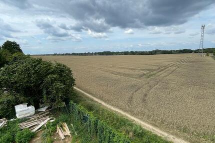 Wohnung Neuenhagen bei Berlin - 4 Zimmer, 80 m&sup2;, 1.840&euro; | Angebot:24623562