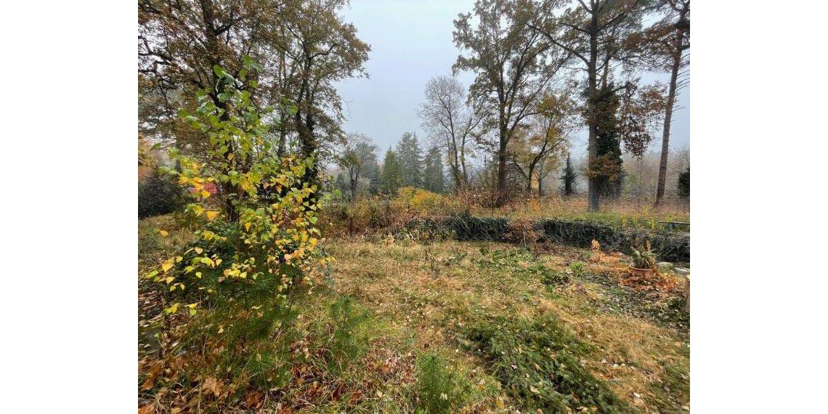 Grundstück Schildow Schildow - 240.000&euro; | Angebot:25741630