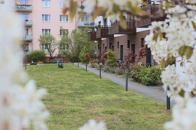 Erdgeschoßwohnung Berlin Pankow - 1 Zimmer, 47 m&sup2;, 274.000&euro; | Angebot:27271637