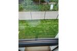 Doppelhaushälfte Berlin Altglienicke - 5 Zimmer, 160 m&sup2;, 2.900&euro; | Angebot:26247801