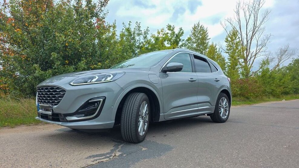 Kuga