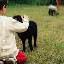 Schaf und Ziegen Kinder Abendteuer 11.10.2026 Profaris