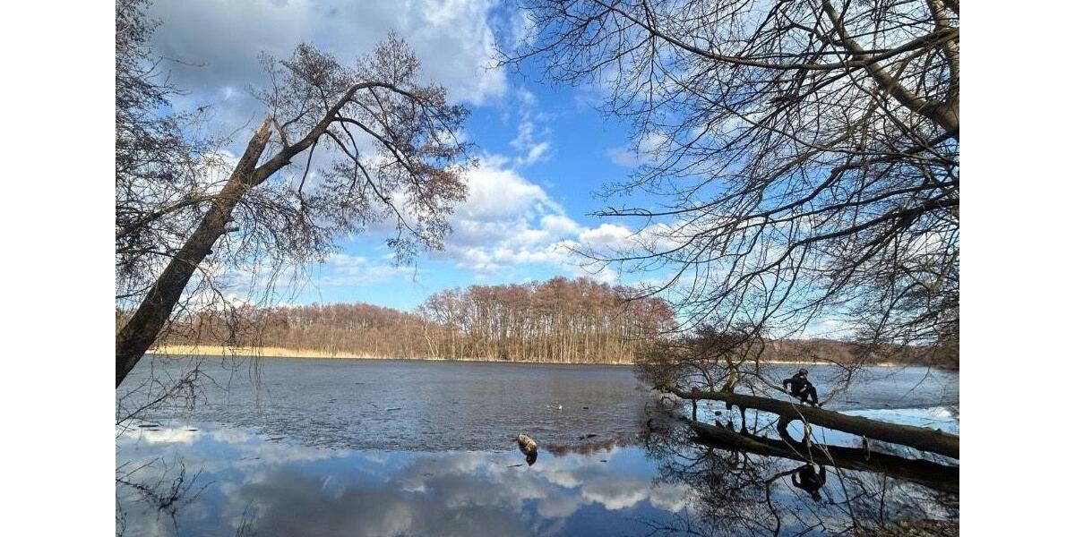 Einfamilienhaus Petershagen/Eggersdorf Eggersdorf - 5 Zimmer, 130 m&sup2;, 1.300&euro; | Angebot:26384840