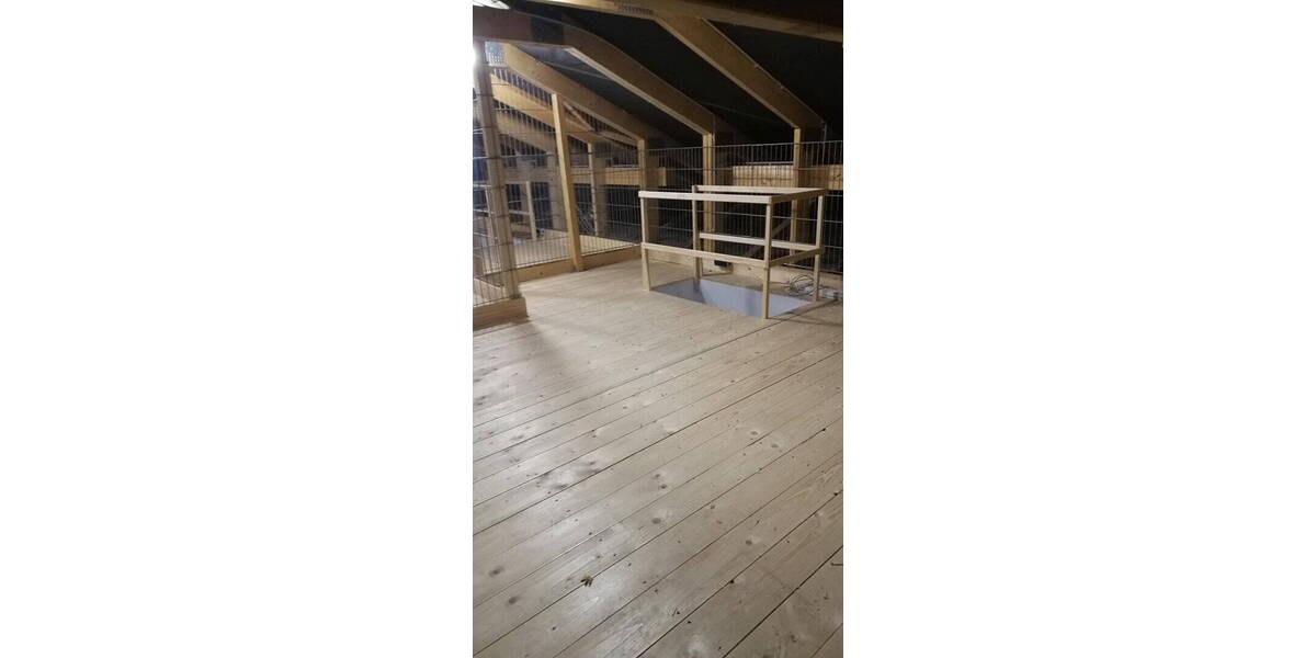 Etagenwohnung Königs Wusterhausen Niederlehme - 2 Zimmer, 73 m&sup2;, 1.258&euro; | Angebot:26306901