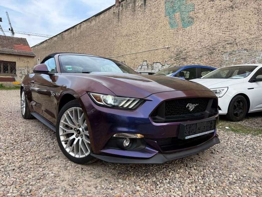 Mustang