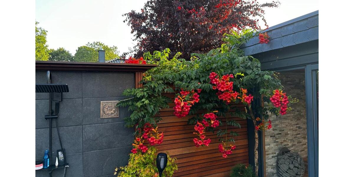 Einfamilienhaus Hennigsdorf - 4 Zimmer, 142 m&sup2;, 828.000&euro; | Angebot:25570720