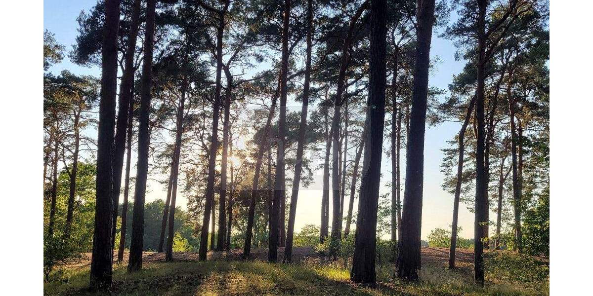 Grundstück Berlin Müggelheim - 119.000&euro; | Angebot:25732347