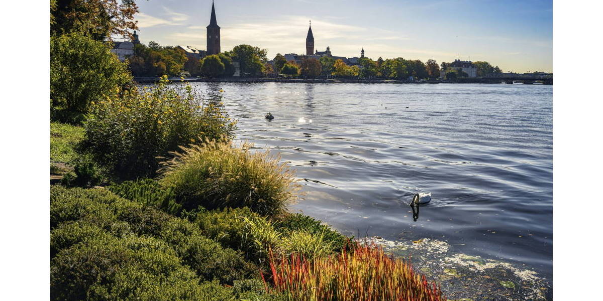 Etagenwohnung Berlin Köpenick - 1 Zimmer, 45 m&sup2;, 952&euro; | Angebot:25983325