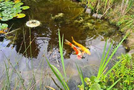 Grundstück Panketal - 245.000&euro; | Angebot:24972842