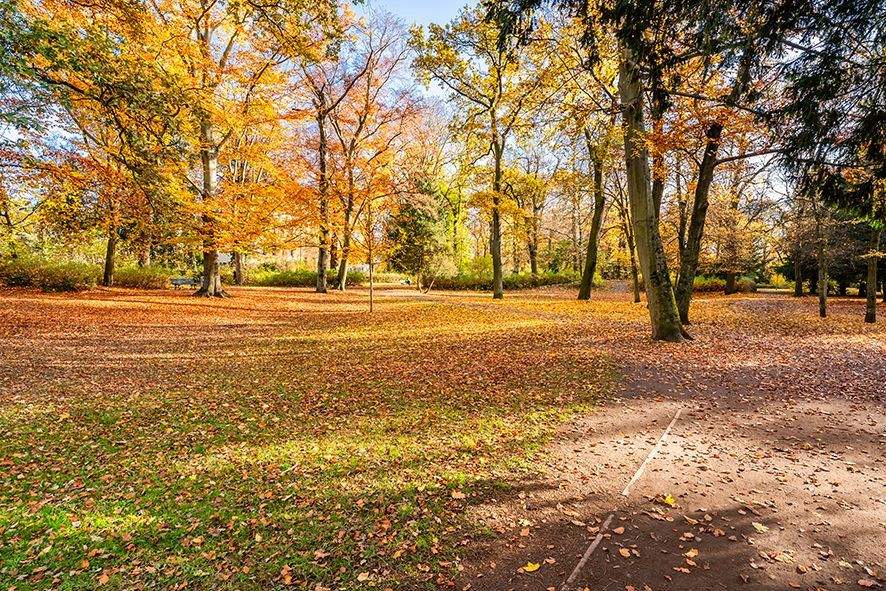 Etagenwohnung Berlin Niederschönhausen - 2 Zimmer, 58 m&sup2;, 229.000&euro; | Angebot:24773428