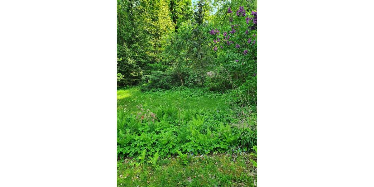 Grundstück Berlin Heiligensee - 349.000&euro; | Angebot:23957623