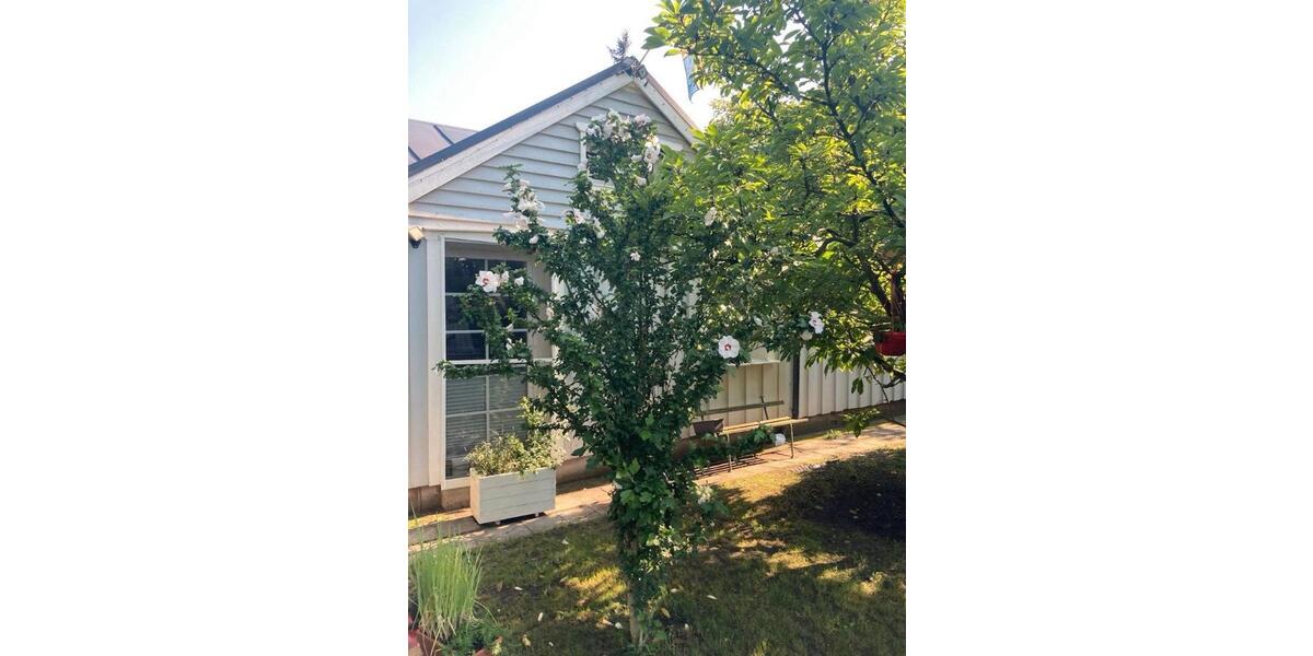 Bungalow Berlin Pankow - 3 Zimmer, 90 m&sup2;, 598.000&euro; | Angebot:25025081