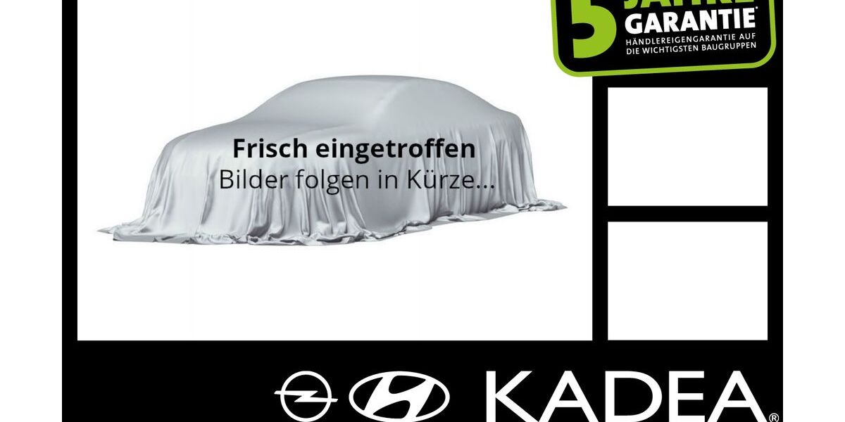 Opel Grandland (X) 1.500 km 26.990 &euro; Berlin Tempelhof 12103