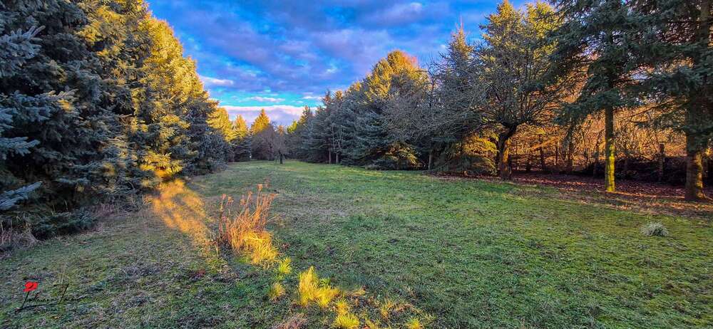 Wohn- & Gewerbeensemble mit Entwicklungspotenzial – Ihre Kapitalanlage mit Flughafennähe 11 zimmer