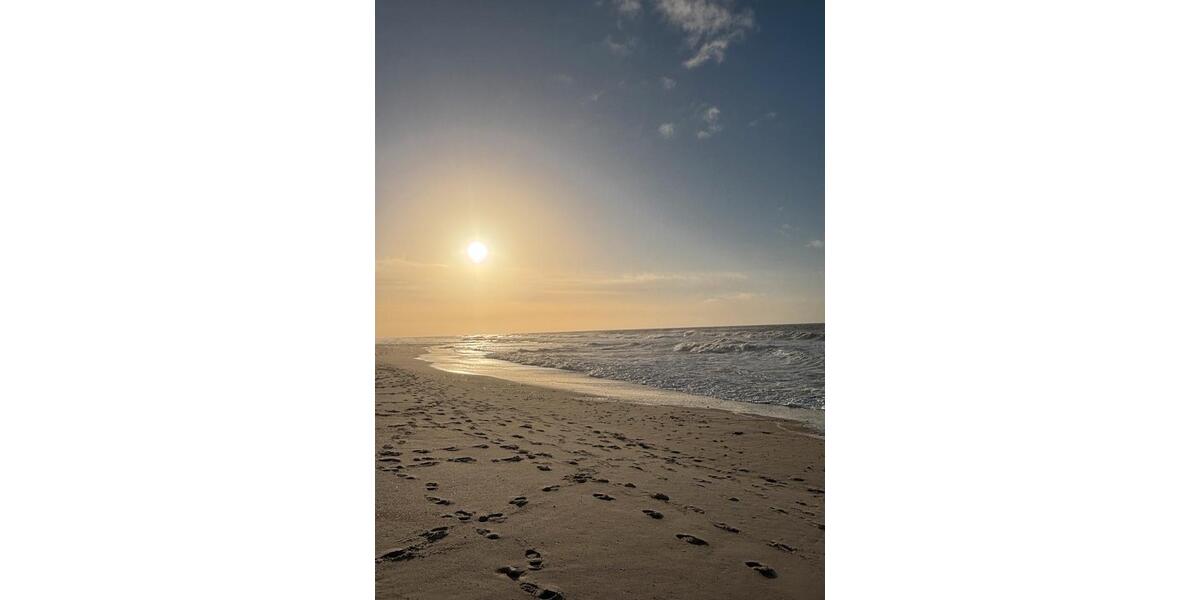 Terrassenwohnung Schöneiche bei Berlin - 4 Zimmer, 123 m&sup2;, 1.750&euro; | Angebot:25794135