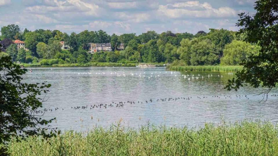 Reihenhaus Berlin Spandau - 4 Zimmer, 95 m&sup2;, 649.000&euro; | Angebot:26072289