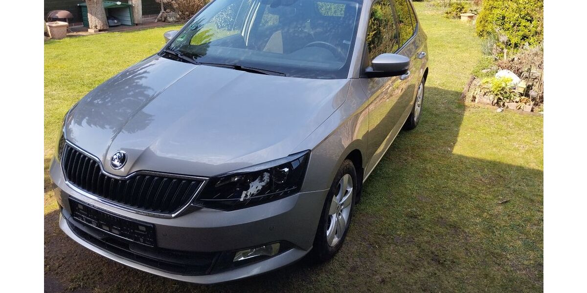 Skoda Fabia 38.004 km 13.900 &euro; Brieselang 14656