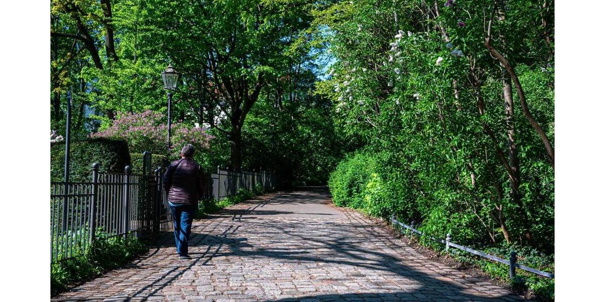 Etagenwohnung Berlin Friedrichshain - 3 Zimmer, 100 m&sup2;, 555.000&euro; | Angebot:25990448