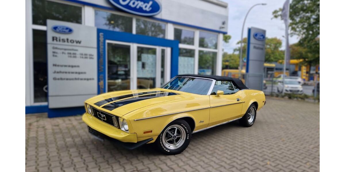 Ford Mustang 81.500 km 26.980 &euro; Berlin 13509