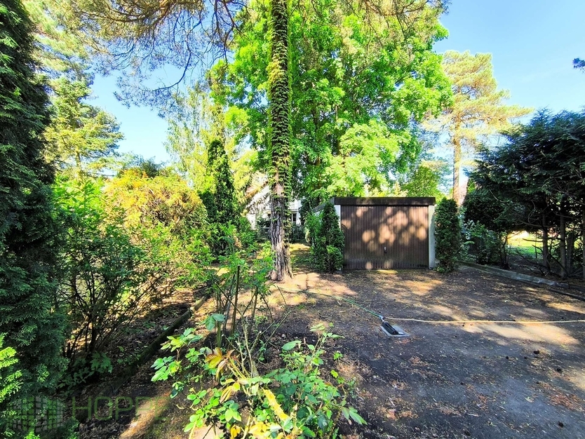 Dahlwitz-Hoppegarten - 800 m² Topgrundstück in Waldesruh für Ihr Traumhaus vor den Toren Berlins zimmer
