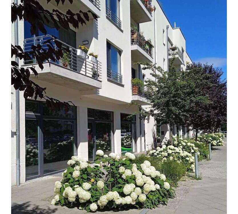 Büro in Berlin 1.300 € 55 m²