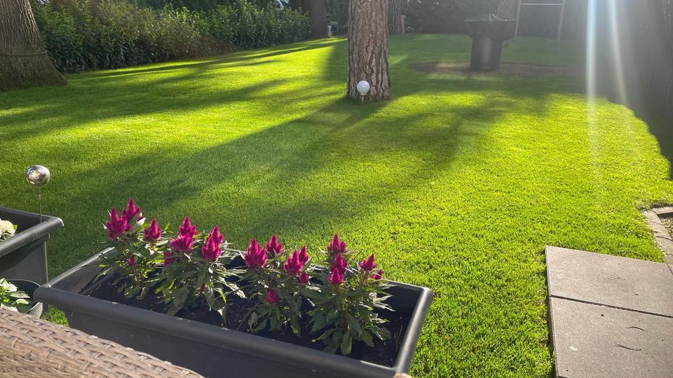 Reihenhaus Berlin Reinickendorf - 5 Zimmer, 160 m&sup2;, 2.350&euro; | Angebot:25722107