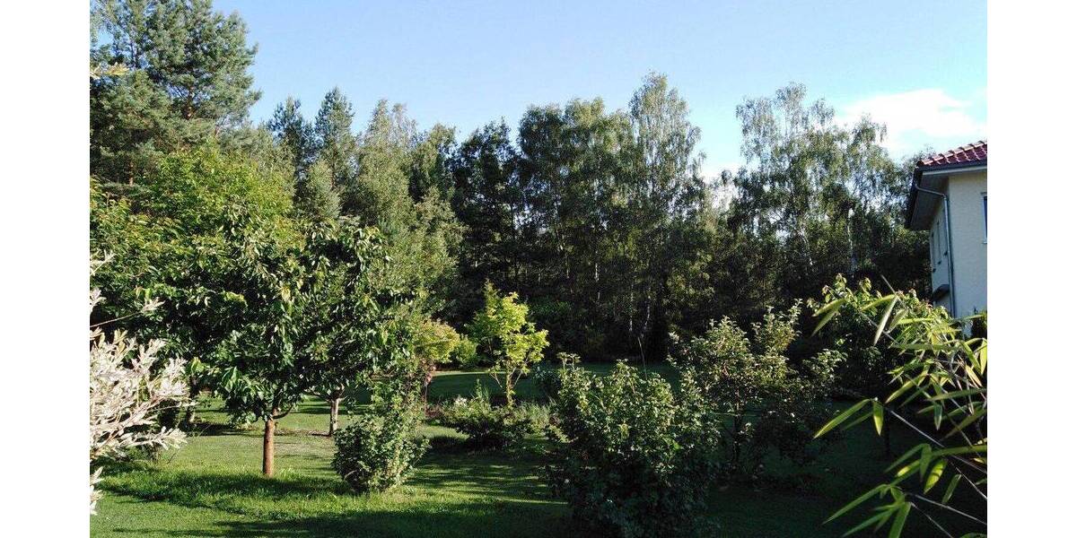 Einfamilienhaus Potsdam Groß Glienicke - 4 Zimmer, 130 m&sup2;, 2.300&euro; | Angebot:26920215