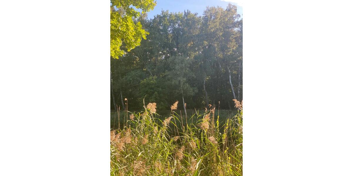 Bungalow Erkner - 1 Zimmer, 55 m&sup2;, 1.400&euro; | Angebot:24283698