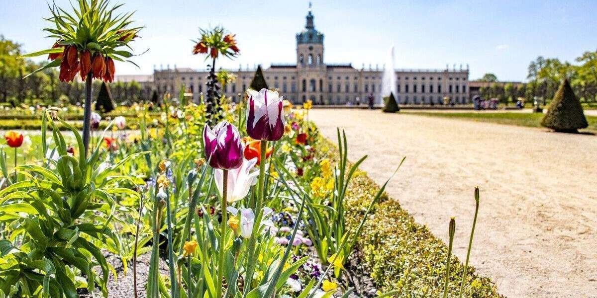 Etagenwohnung Berlin Spandau - 3 Zimmer, 129 m&sup2;, 768.000&euro; | Angebot:25756116