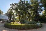 Etagenwohnung Berlin Pankow - 3 Zimmer, 100 m&sup2;, 725.000&euro; | Angebot:27072852