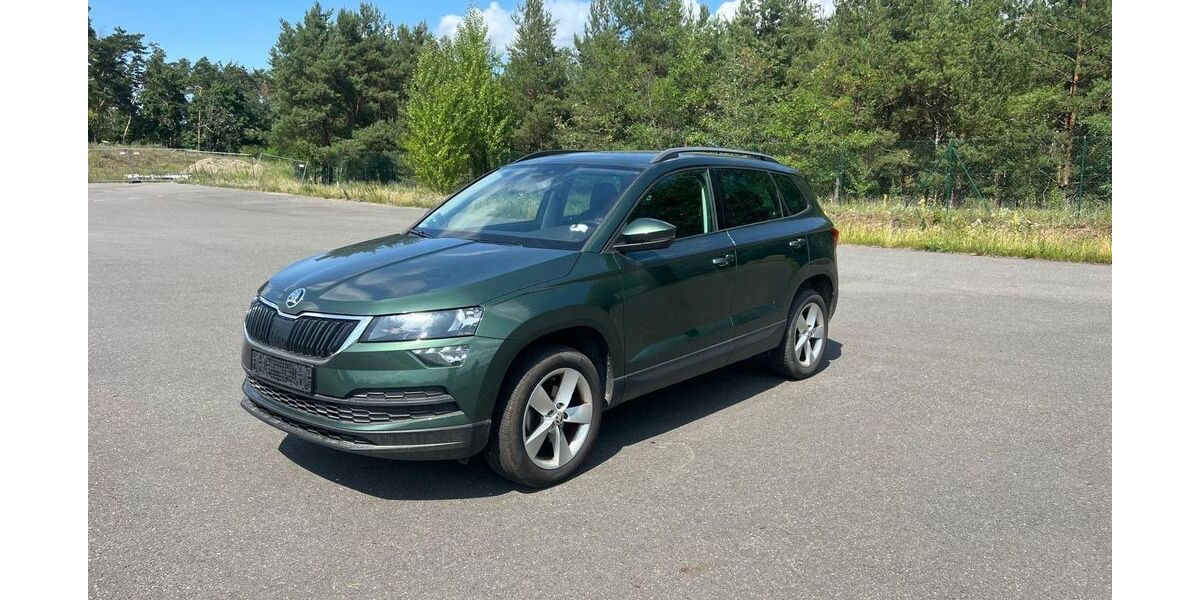 Skoda Karoq 171.000 km 13.300 &euro; Berlin 12347