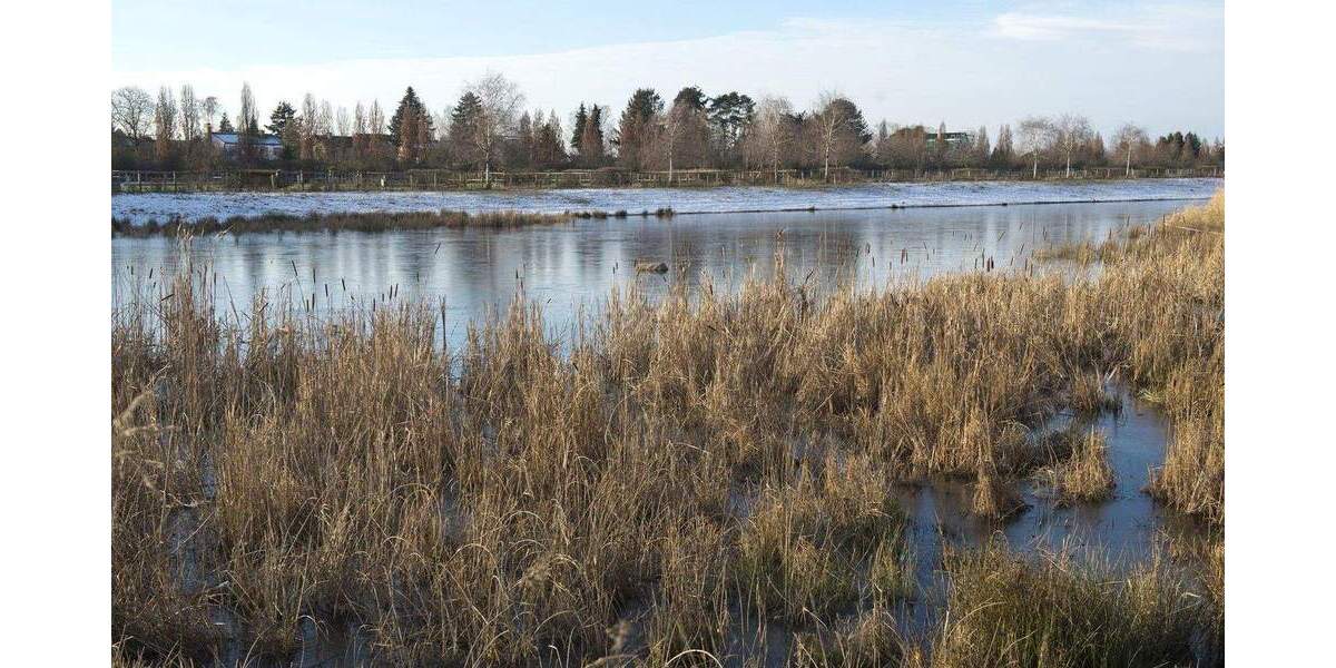 Einfamilienhaus Berlin Altglienicke - 5 Zimmer, 157 m&sup2;, 650.000&euro; | Angebot:25716229