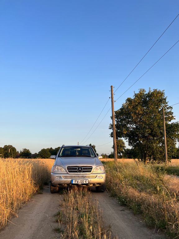 ML 500
