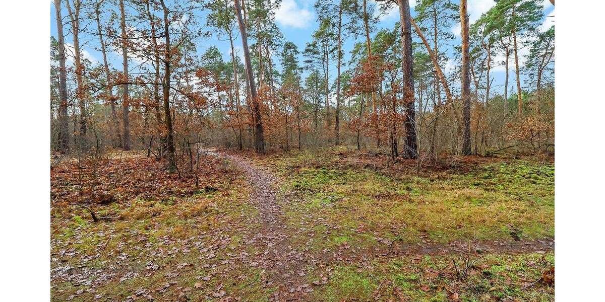 Einfamilienhaus Berlin Müggelheim - 277.000&euro; | Angebot:25769026